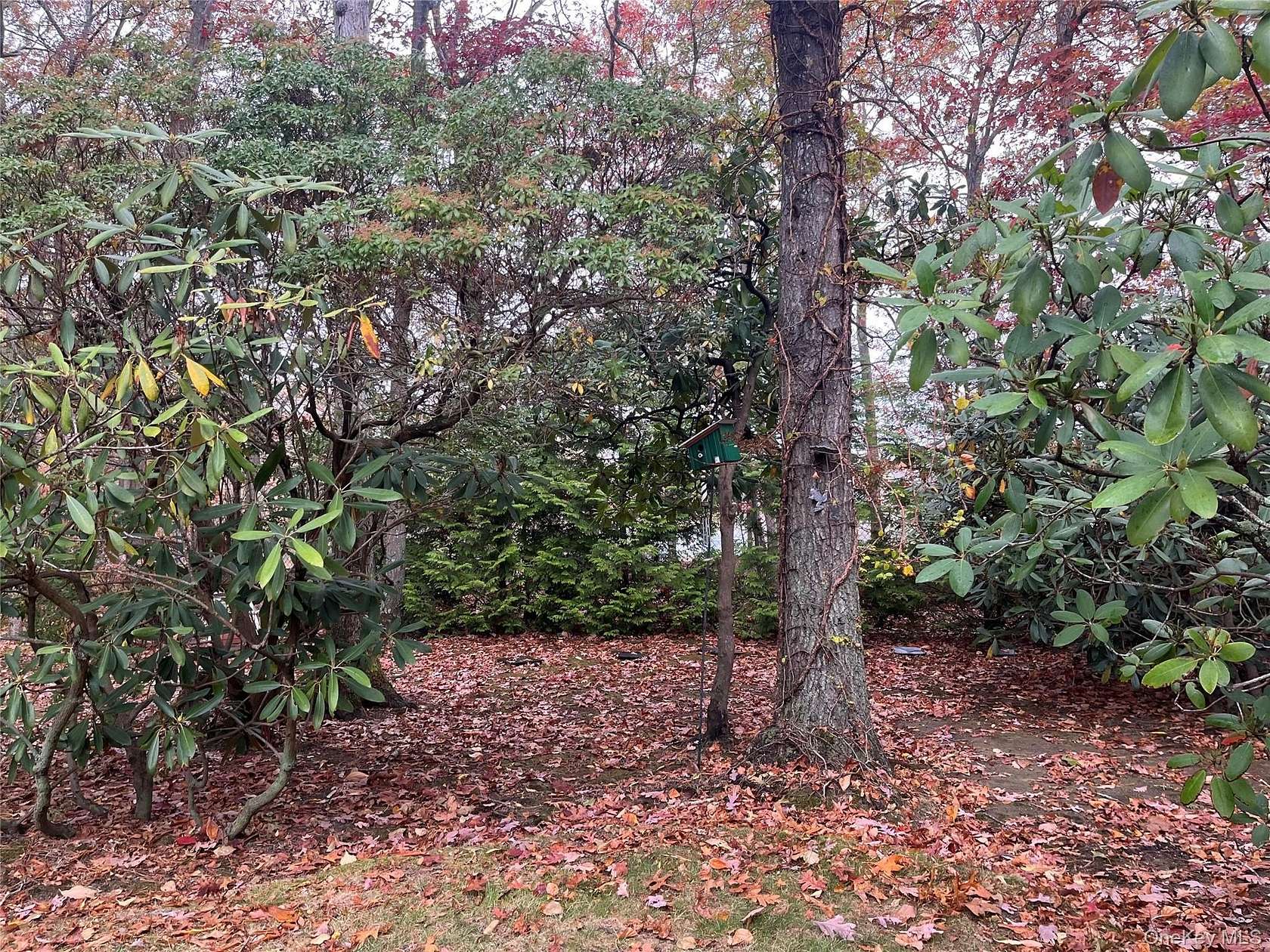 1 Acre of Land for Sale in Yaphank, New York