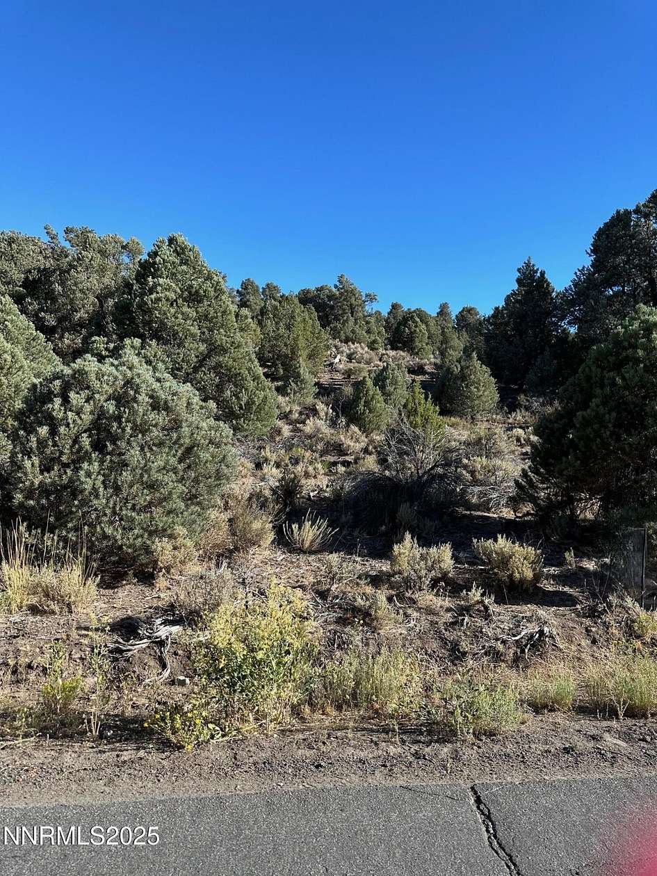1 Acre of Residential Land for Sale in Reno, Nevada