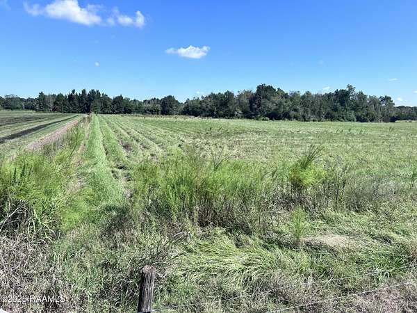 7.32 Acres of Residential Land for Sale in Sunset, Louisiana