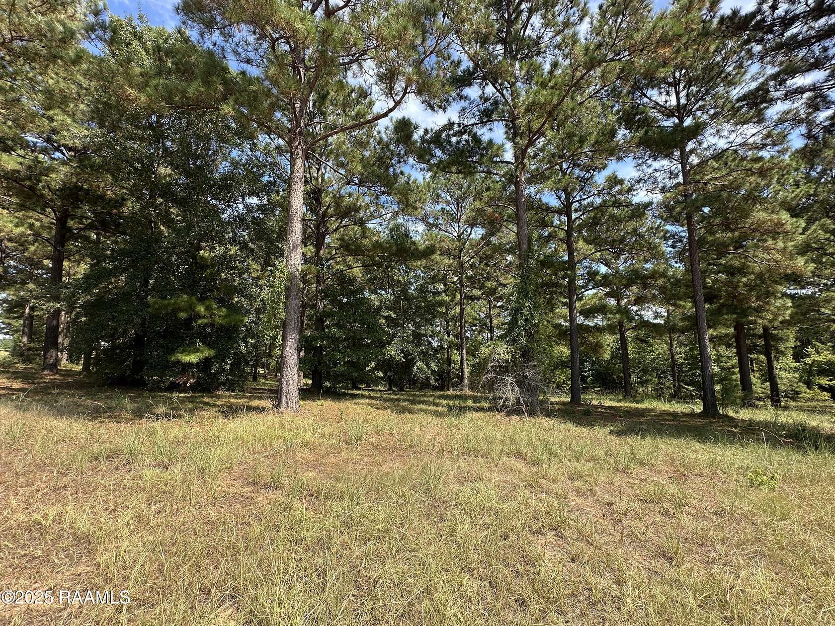 0.41 Acres of Residential Land for Sale in Many, Louisiana