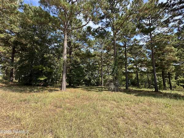 0.41 Acres of Residential Land for Sale in Many, Louisiana