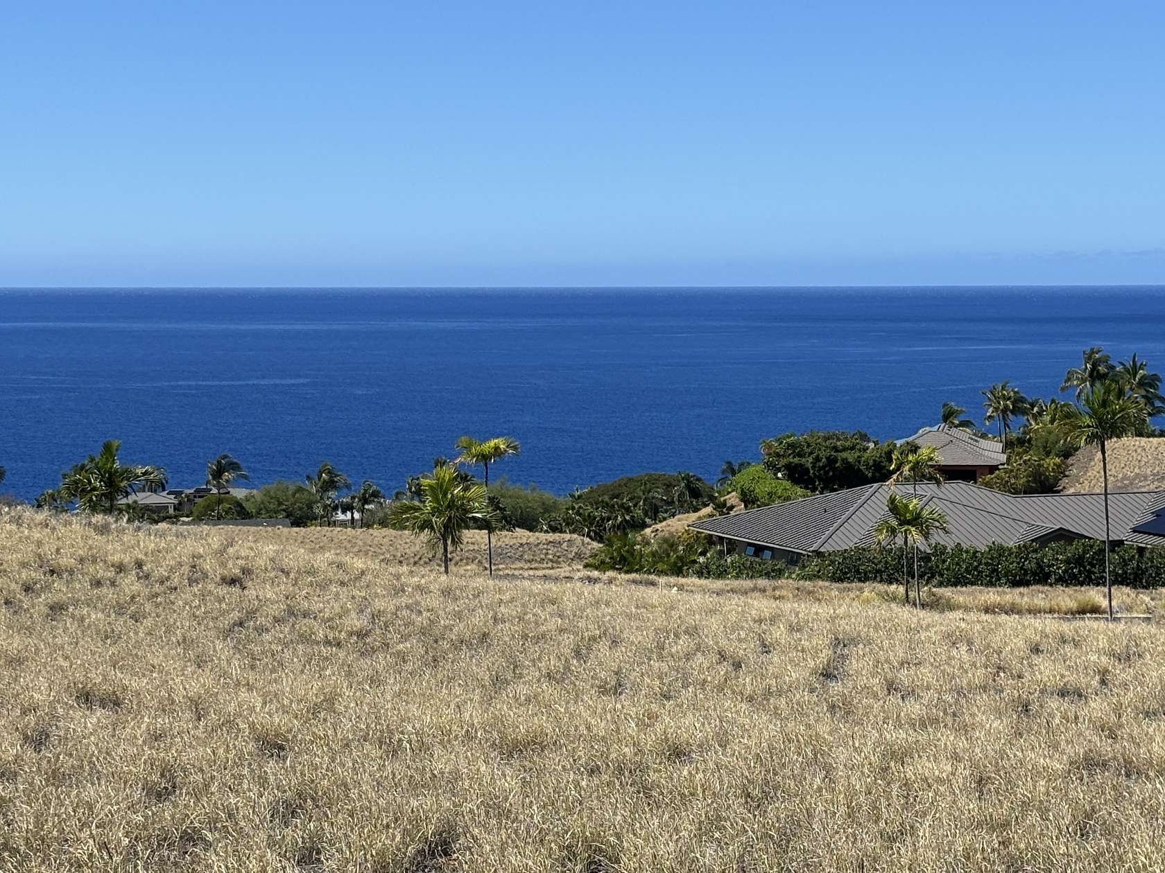 1 Acre of Residential Land for Sale in Waimea, Hawaii