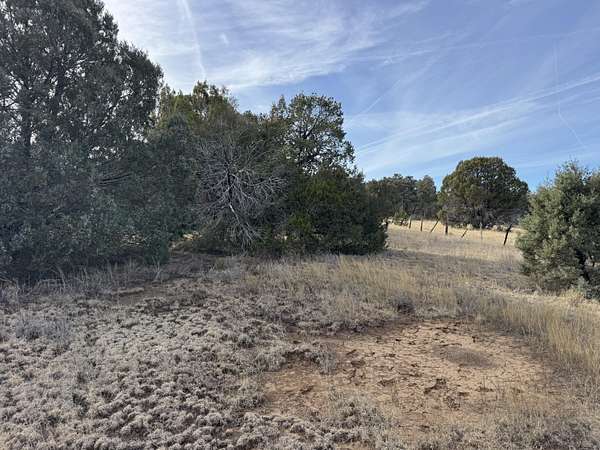 1 Acre of Land for Sale in Tijeras, New Mexico