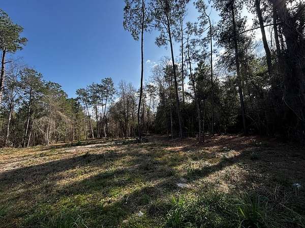 1.3 Acres of Residential Land for Sale in Carriere, Mississippi