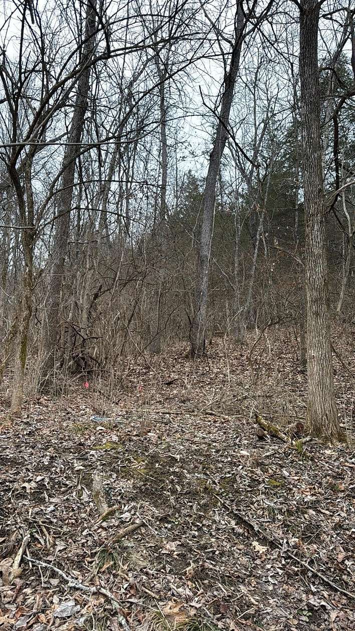 8.5 Acres of Residential Land for Sale in West Harrison, Indiana