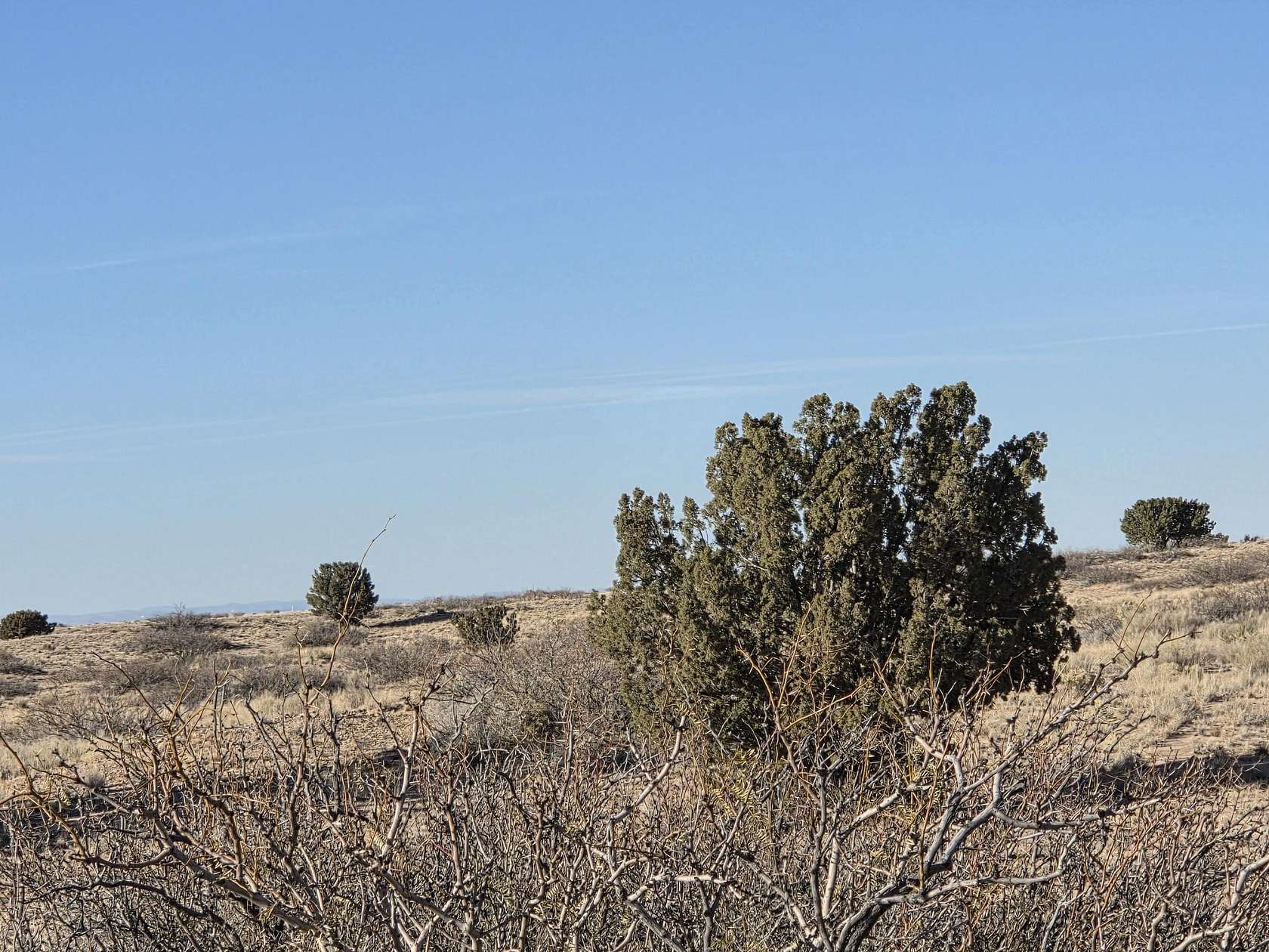 5 Acres of Land for Sale in Magdalena, New Mexico