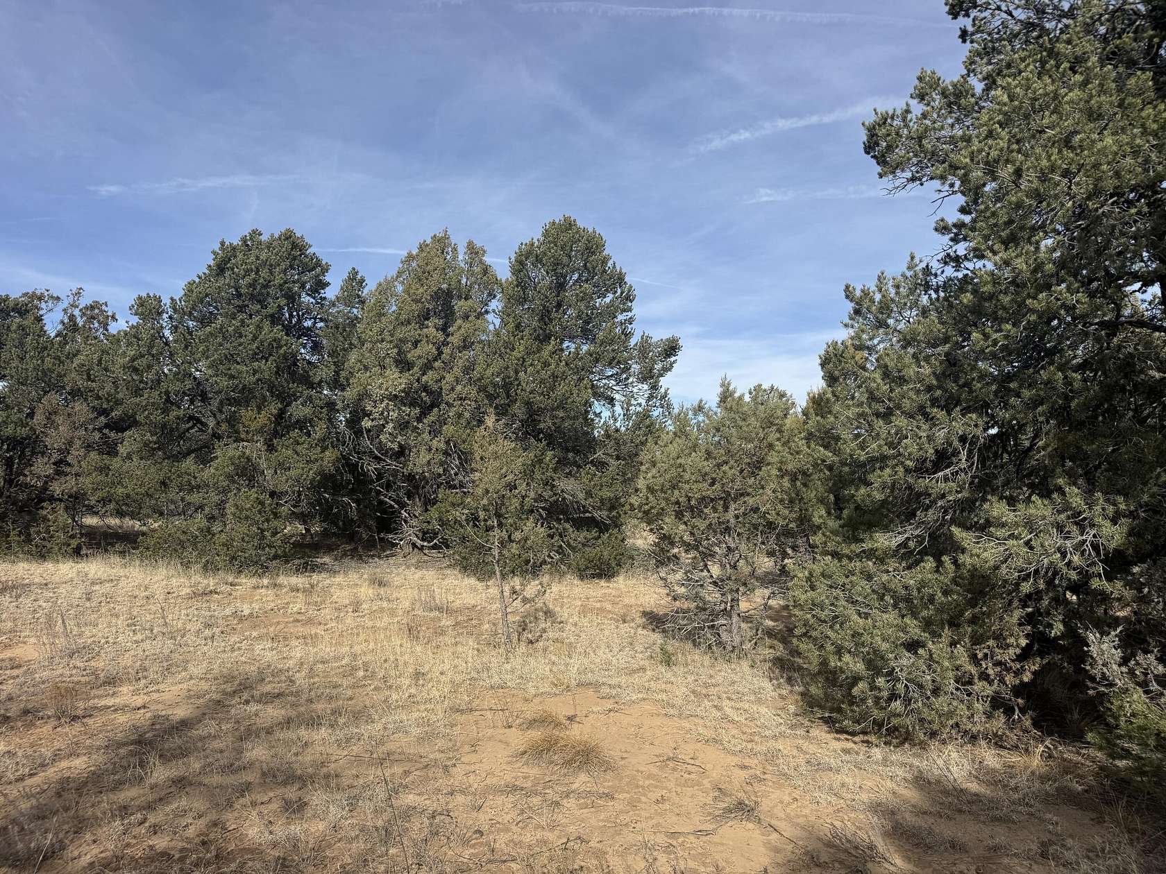 1 Acre of Land for Sale in Tijeras, New Mexico