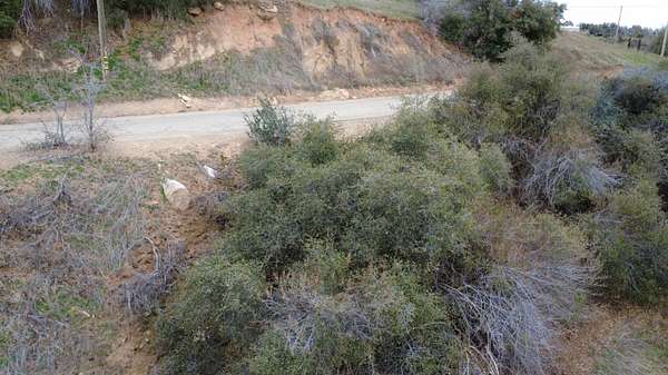 4.67 Acres of Land for Sale in Squaw Valley, California