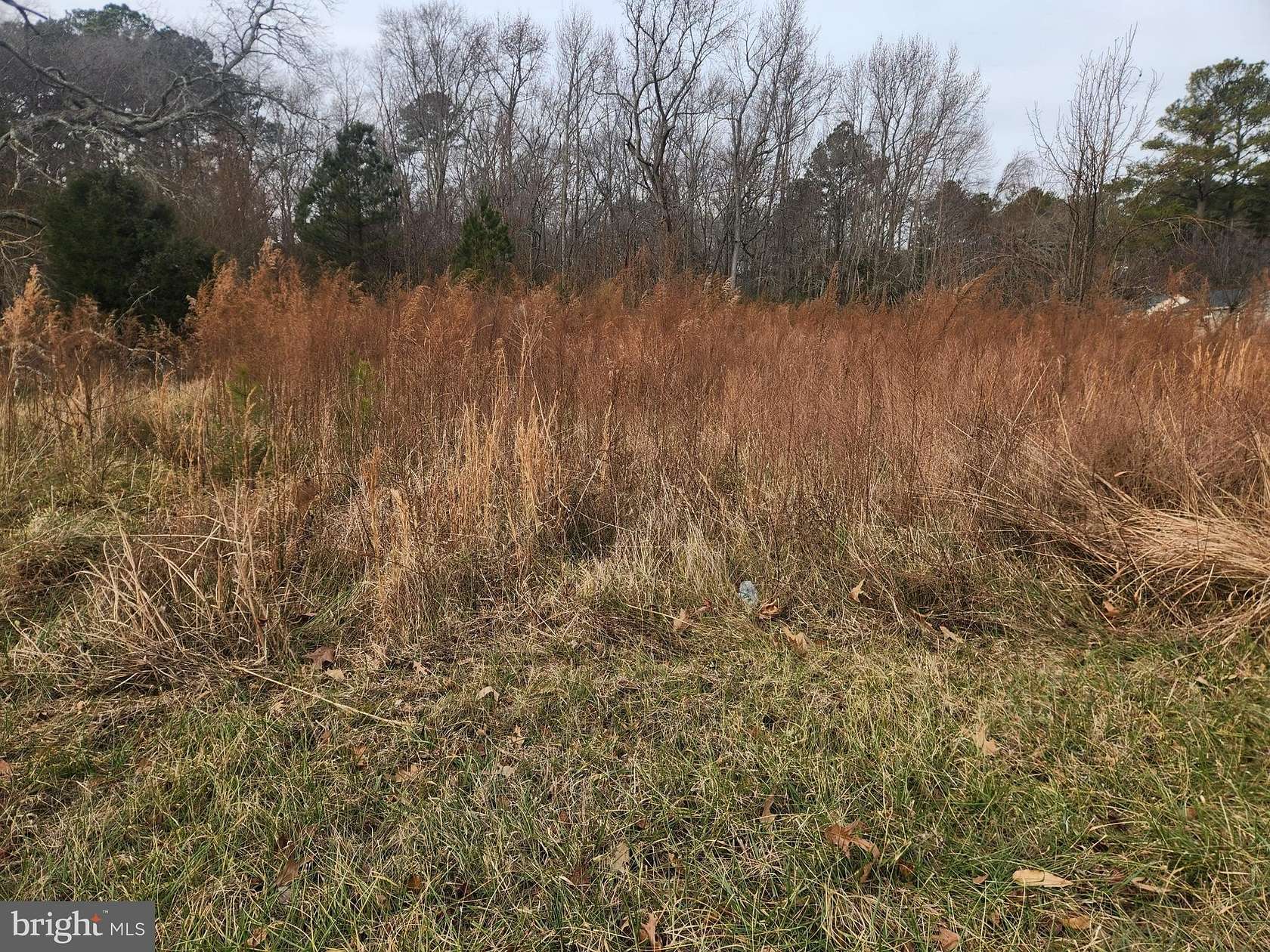 5.75 Acres of Residential Land for Sale in Quantico, Maryland