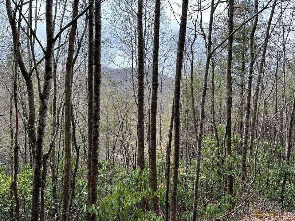 1.15 Acres of Residential Land for Sale in Topton, North Carolina