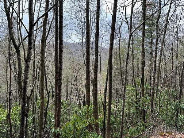 1.15 Acres of Residential Land for Sale in Topton, North Carolina