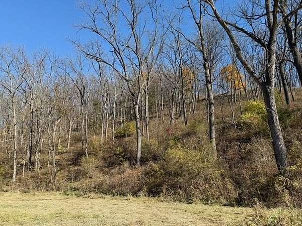 4 Acres of Residential Land for Sale in Galena, Illinois