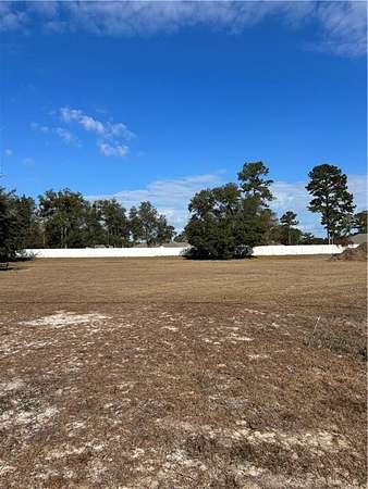 1 Acre of Commercial Land for Sale in Townsend, Georgia