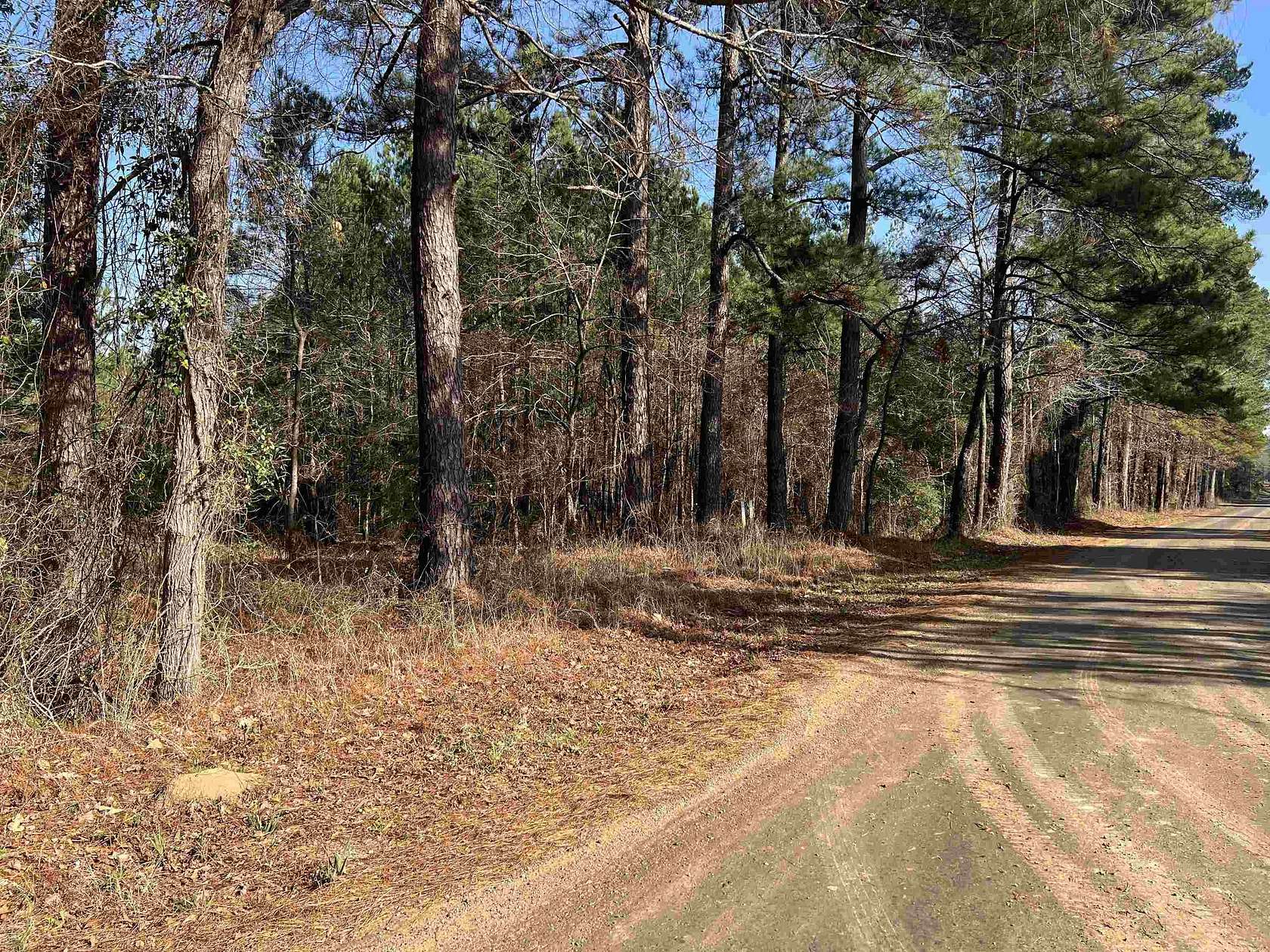 8 Acres of Residential Land for Sale in De Berry, Texas