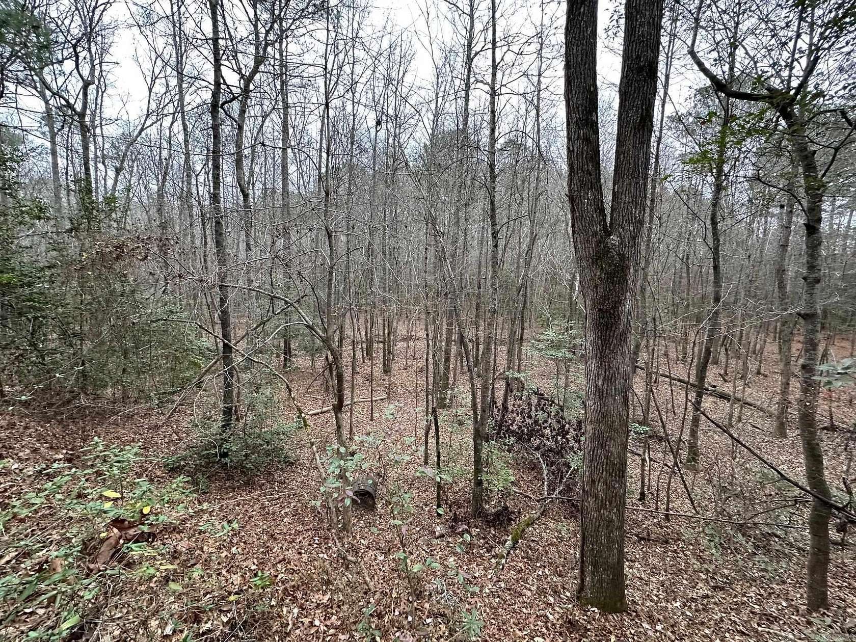 78 Acres of Recreational Land for Sale in Mabelvale, Arkansas