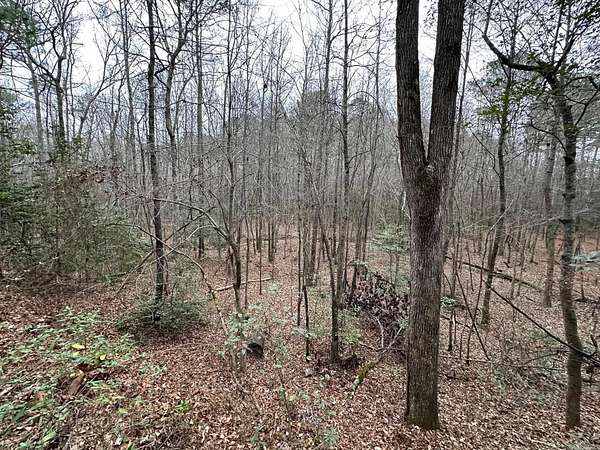 78 Acres of Recreational Land for Sale in Mabelvale, Arkansas