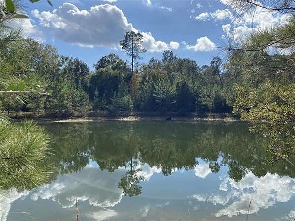 11.5 Acres of Land for Sale in Abita Springs, Louisiana