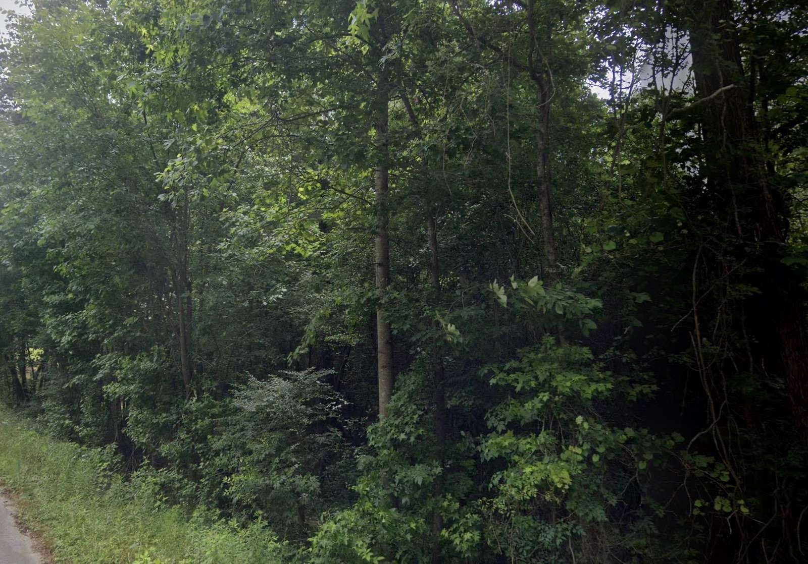 1.1 Acres of Residential Land for Auction in Lizella, Georgia