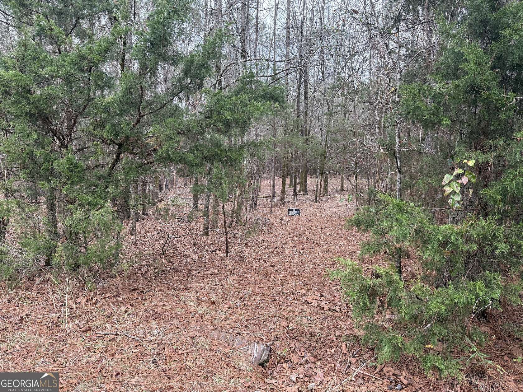 3.58 Acres of Land for Sale in Molena, Georgia