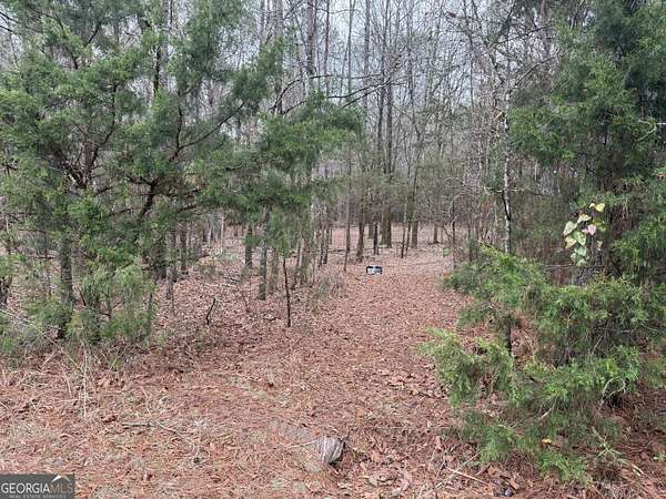 3.58 Acres of Land for Sale in Molena, Georgia