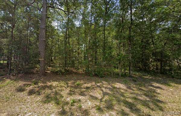 0.6 Acres of Residential Land for Sale in Inverness, Florida