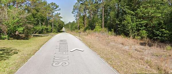 1 Acre of Residential Land for Sale in Dunnellon, Florida
