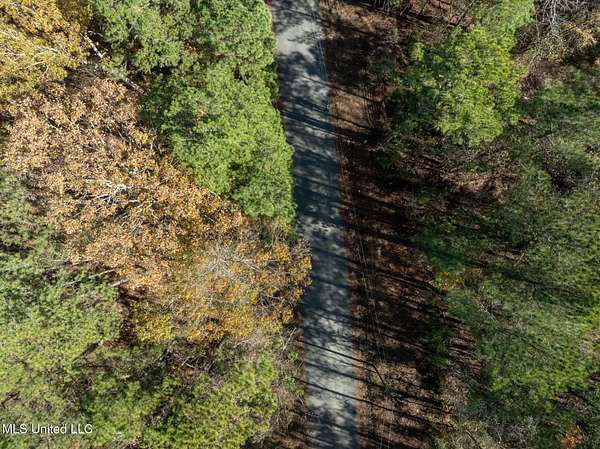 9 Acres of Land for Sale in Braxton, Mississippi