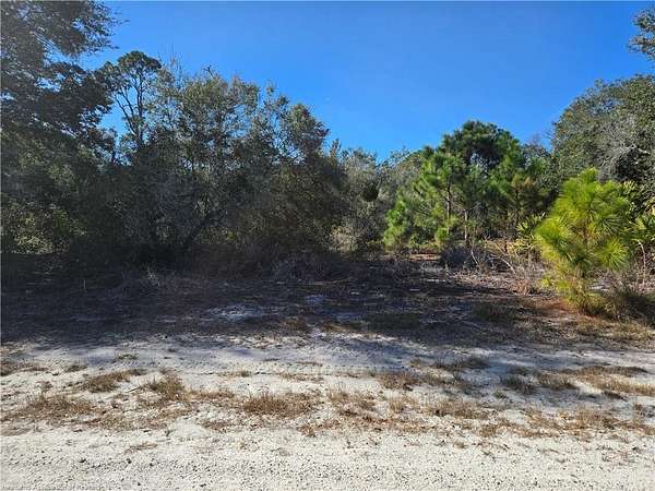 0.23 Acres of Residential Land for Sale in Lake Placid, Florida