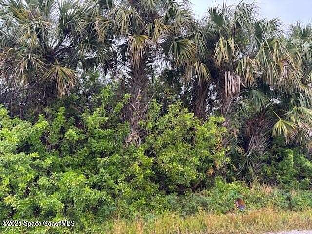0.23 Acres of Land for Sale in Palm Bay, Florida