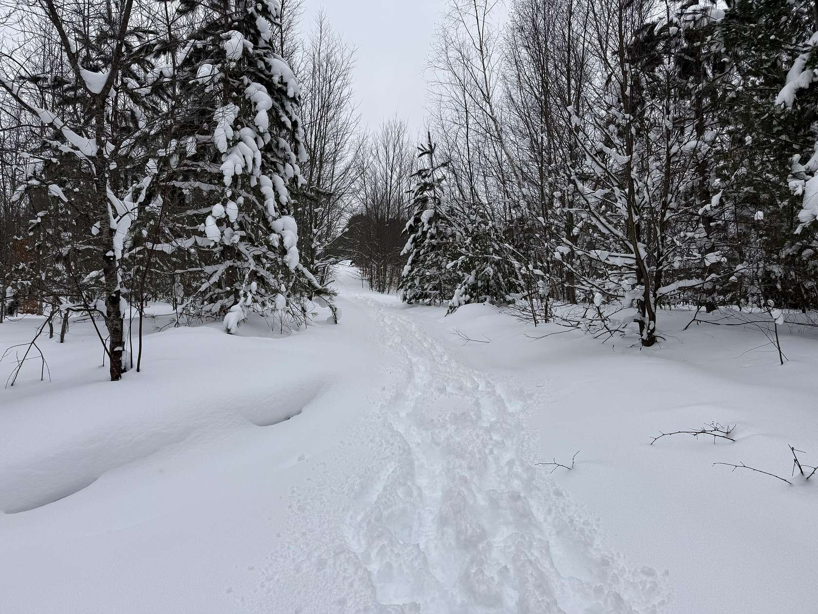 5 Acres of Residential Land for Sale in Kalkaska, Michigan