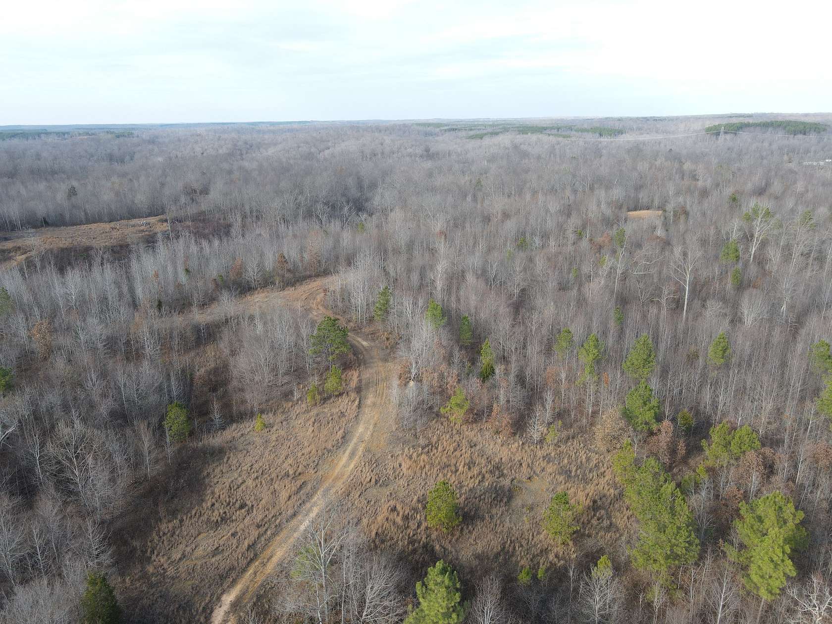 38 Acres of Recreational Land for Sale in Stewart, Tennessee