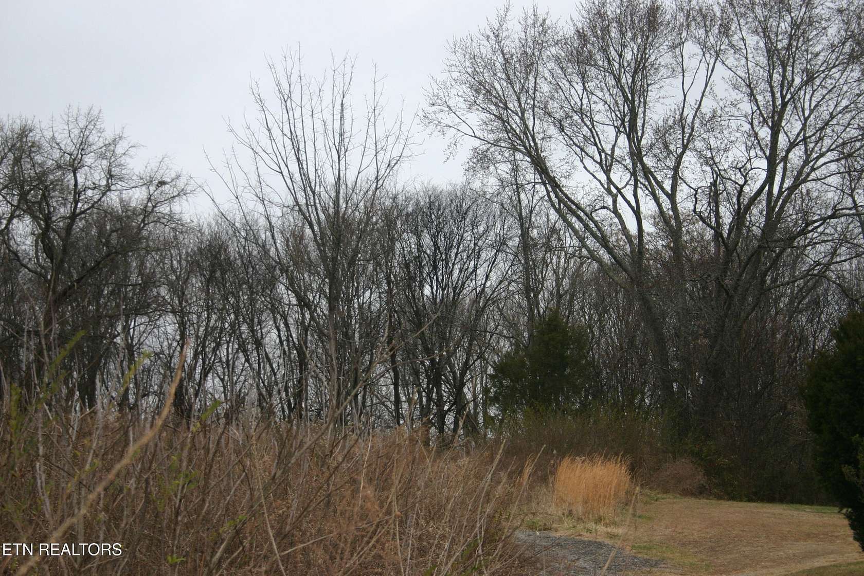 0.8 Acres of Residential Land for Sale in Knoxville, Tennessee