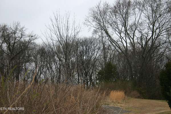 0.8 Acres of Residential Land for Sale in Knoxville, Tennessee