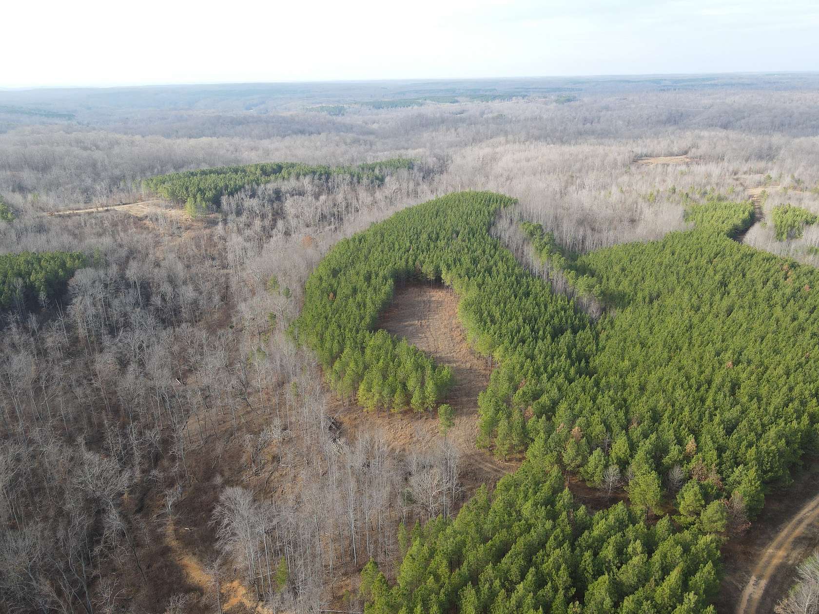 28 Acres of Recreational Land for Sale in Stewart, Tennessee