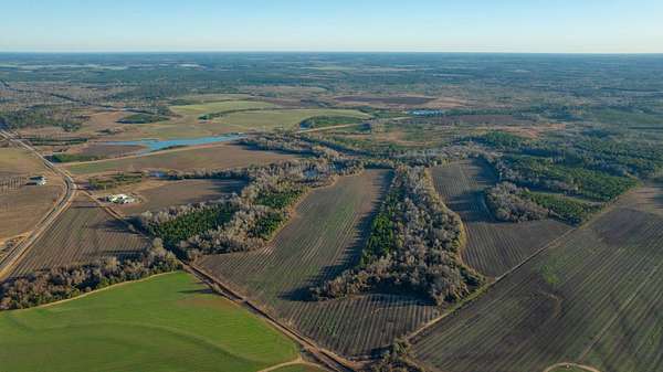 294 Acres of Recreational Land & Farm for Auction in Rebecca, Georgia