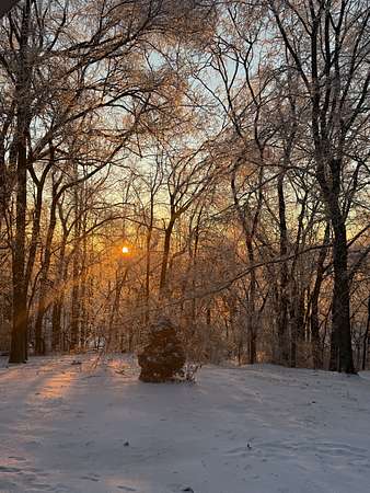 7.39 Acres of Land with Home for Sale in College Grove, Tennessee