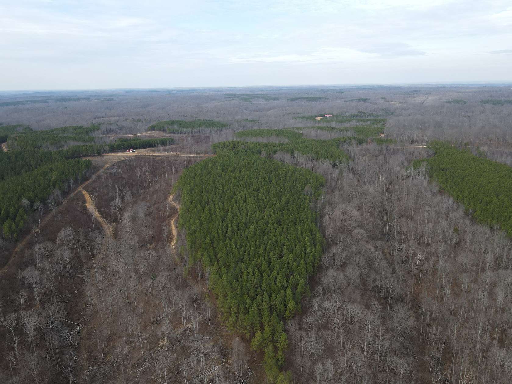 35 Acres of Recreational Land for Sale in Stewart, Tennessee