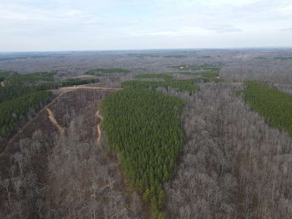 35 Acres of Recreational Land for Sale in Stewart, Tennessee