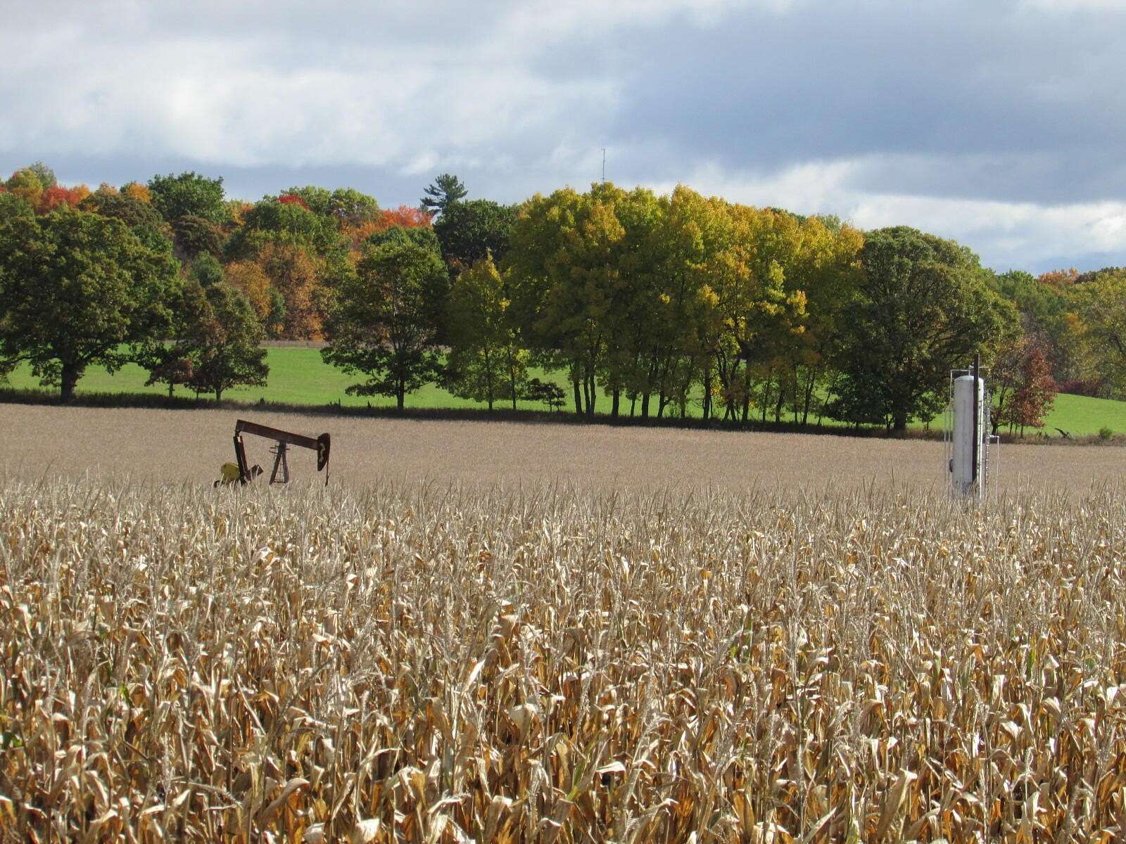 40 Acres of Agricultural Land for Sale in Stanton, Michigan