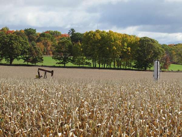 40 Acres of Agricultural Land for Sale in Stanton, Michigan