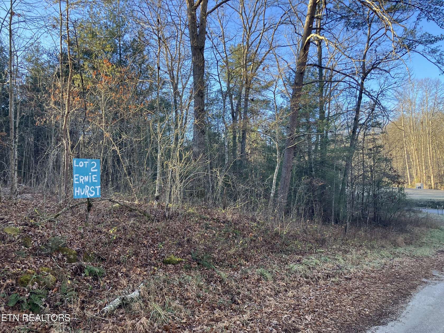 5.1 Acres of Residential Land for Sale in Deer Lodge, Tennessee