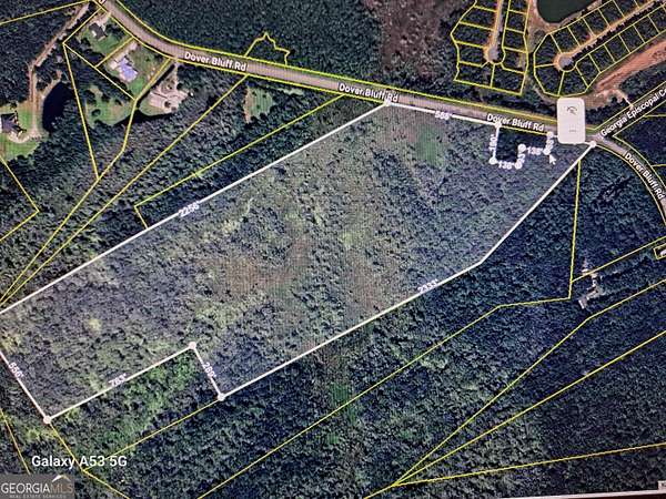 53.5 Acres of Agricultural Land for Sale in Waverly, Georgia