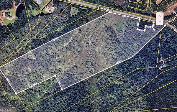 53.5 Acres of Agricultural Land for Sale in Waverly, Georgia