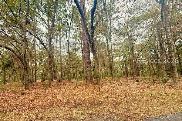 Residential Land for Sale in Daufuskie Island, South Carolina
