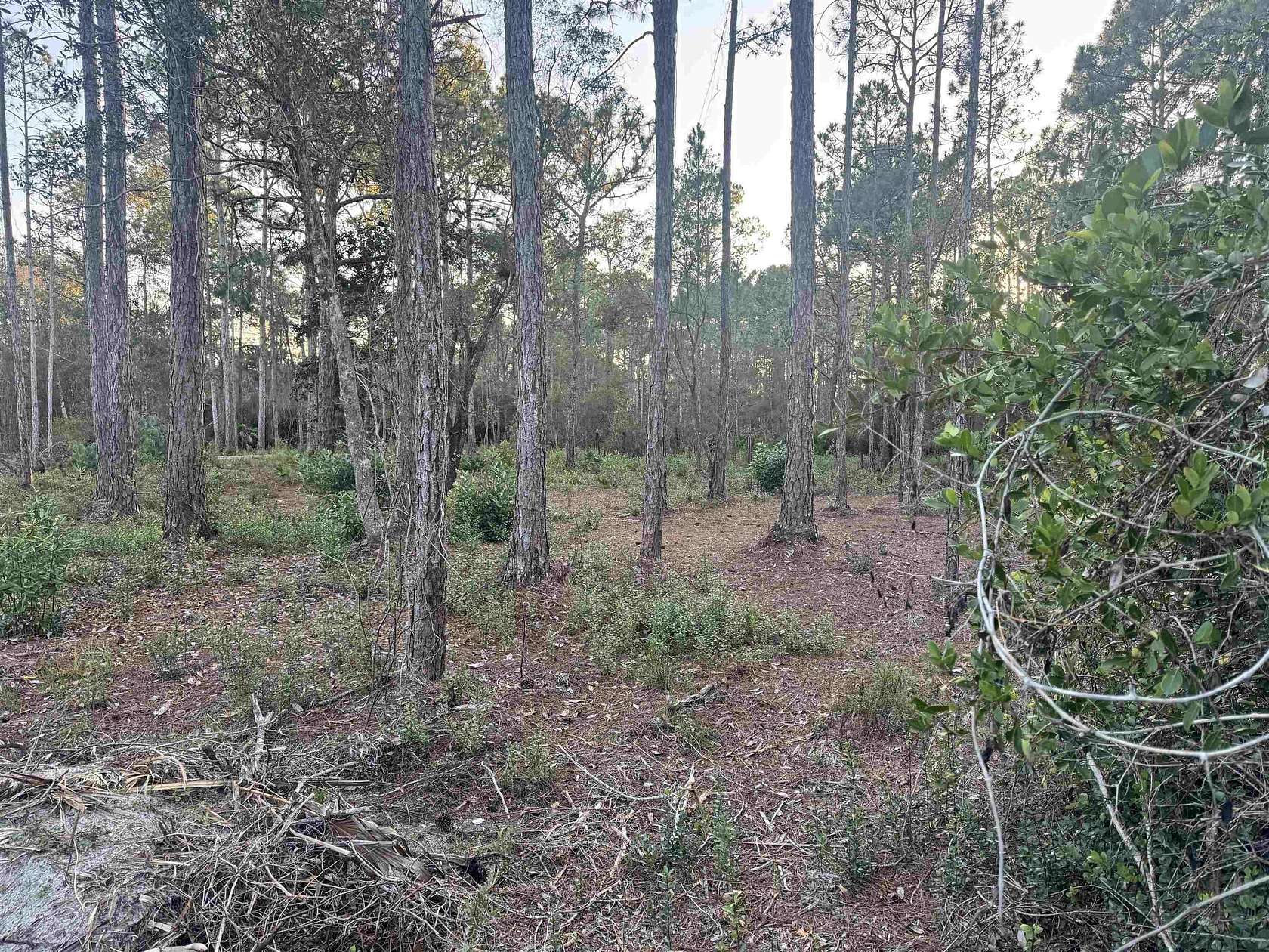 3 Acres of Residential Land for Sale in Carrabelle, Florida