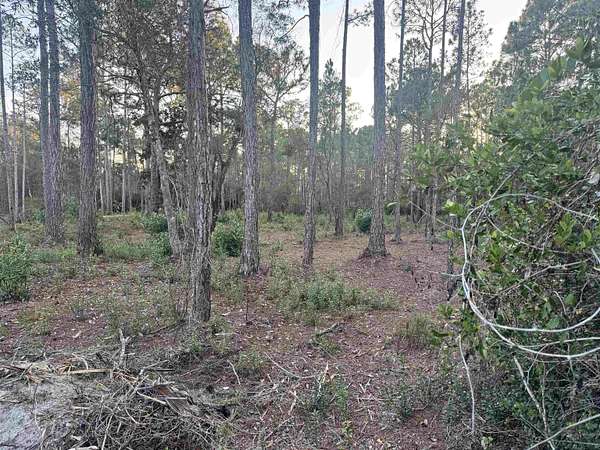 3 Acres of Residential Land for Sale in Carrabelle, Florida