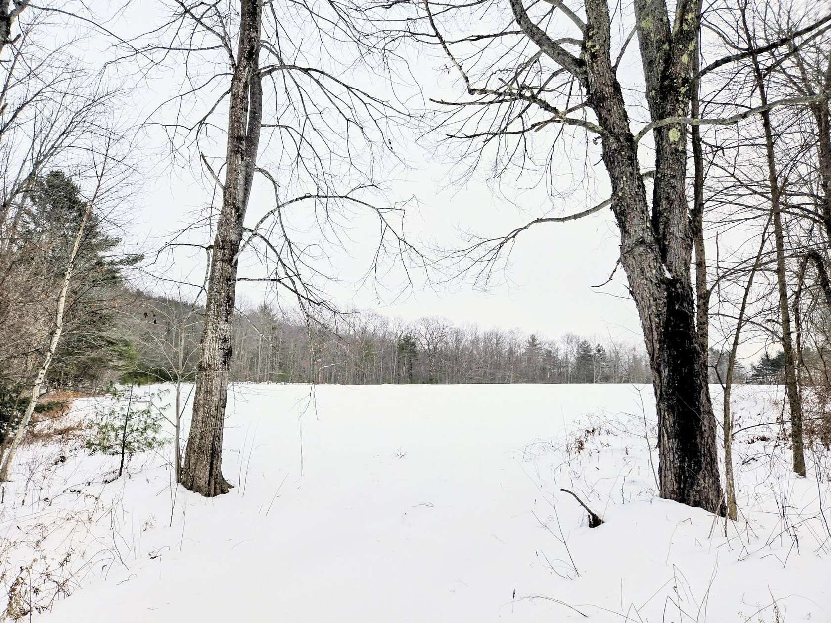 35 Acres of Recreational Land for Sale in Livermore Falls, Maine