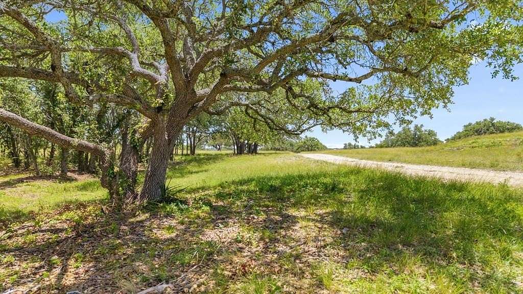 14 Acres of Land for Sale in Blanco, Texas