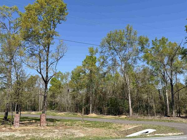 1 Acre of Residential Land for Sale in Lee, Florida
