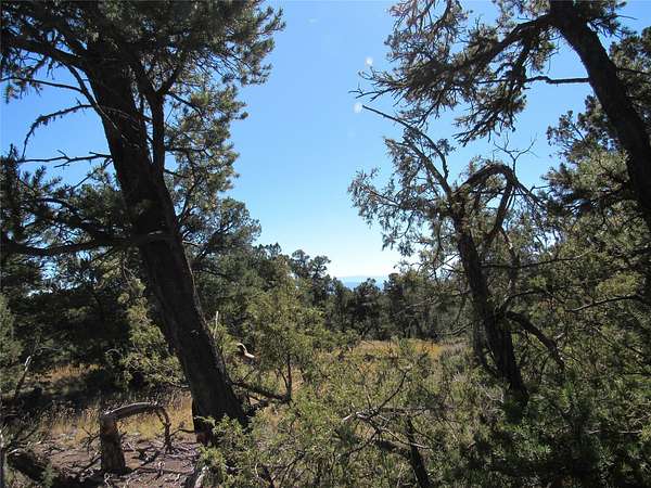 40 Acres of Recreational Land for Sale in Tres Piedras, New Mexico